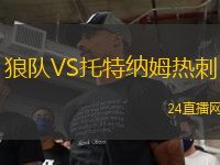 狼隊(duì)VS托特納姆熱刺